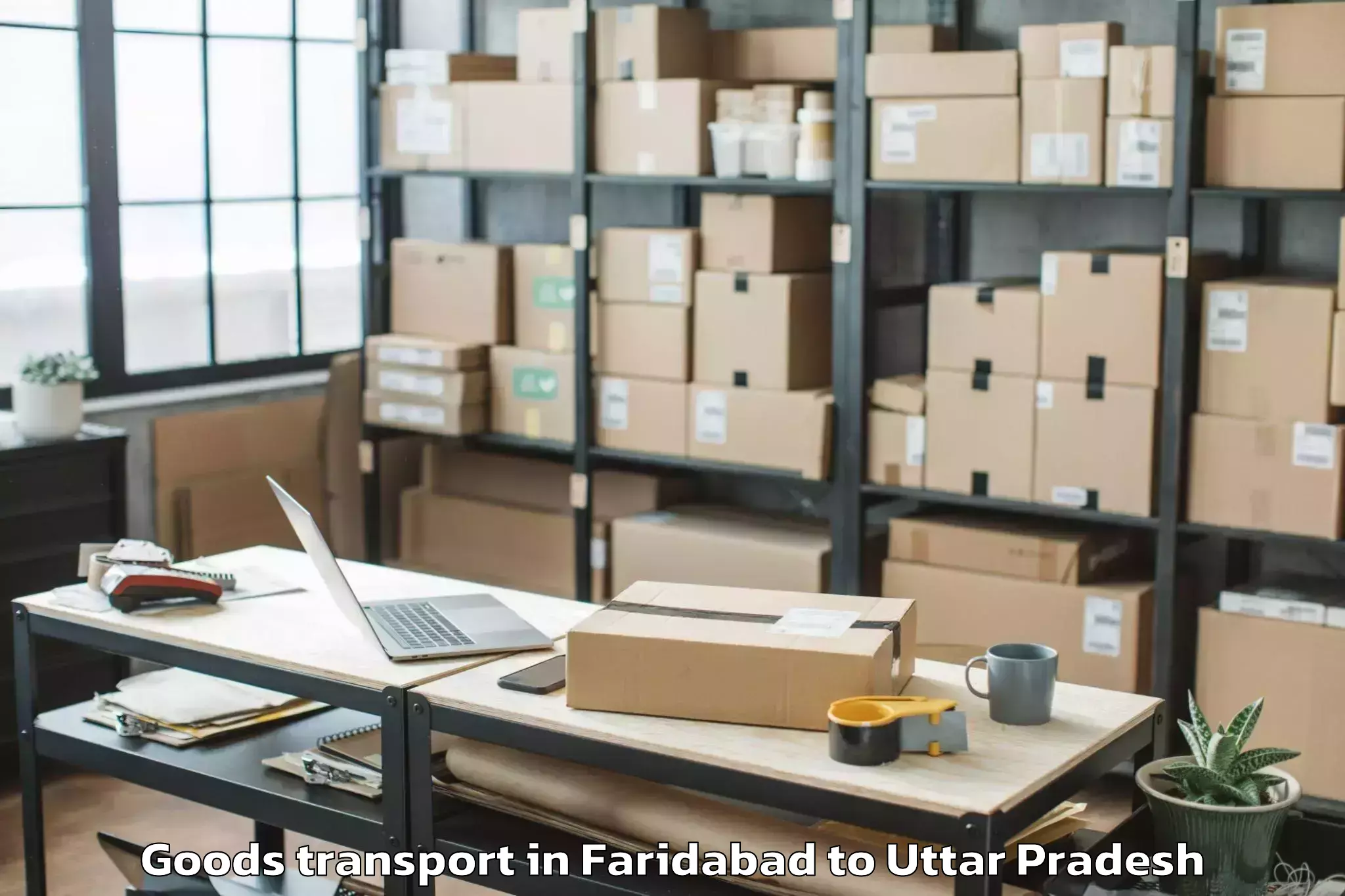 Book Faridabad to Bhinga Goods Transport Online